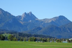 9-Aussicht-Sommer-3