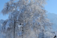 Straße-hinterm-Haus-im-Winter